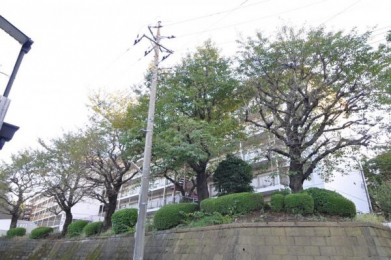 ���n�O�ώʐ^�@�H���}���V����